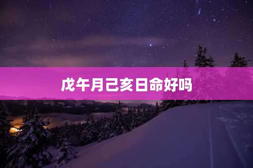 戊午月己亥日命好吗