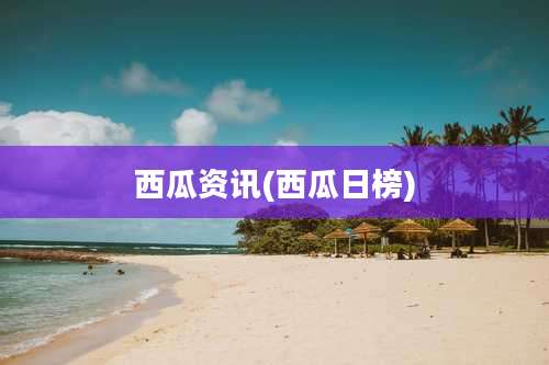 西瓜资讯(西瓜日榜)