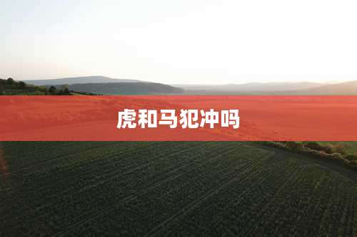 虎和马犯冲吗