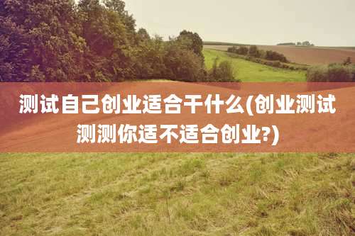 测试自己创业适合干什么(创业测试测测你适不适合创业?)