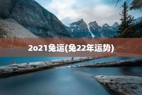 2o21兔运(兔22年运势)
