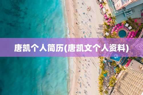 唐凯个人简历(唐凯文个人资料)