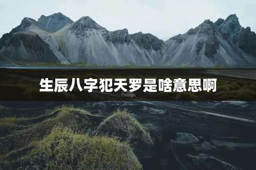 生辰八字犯天罗是啥意思啊
