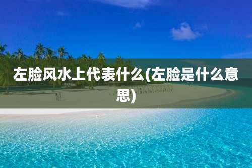 左脸风水上代表什么(左脸是什么意思)