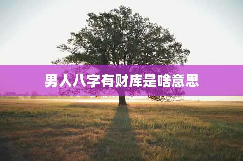 男人八字有财库是啥意思