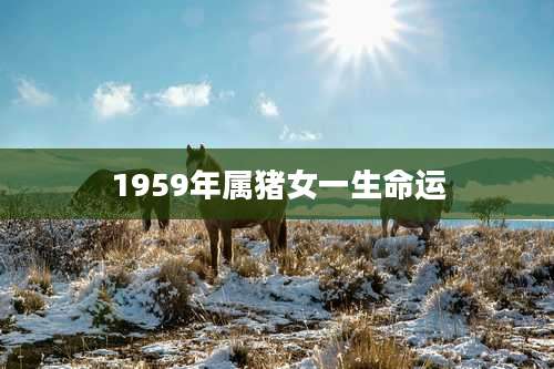 1959年属猪女一生命运