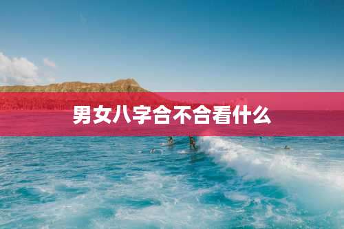 男女八字合不合看什么