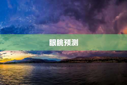 眼眺预测