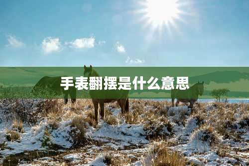 手表翻摆是什么意思