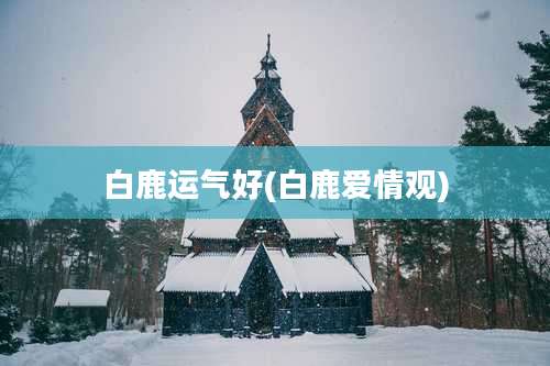 白鹿运气好(白鹿爱情观)