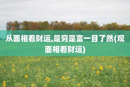 从面相看财运,是穷是富一目了然(观面相看财运)