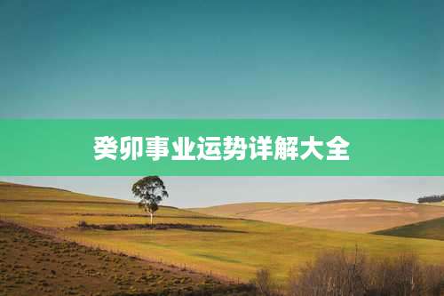 癸卯事业运势详解大全