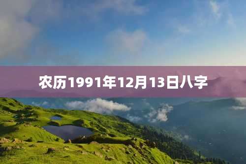 农历1991年12月13日八字