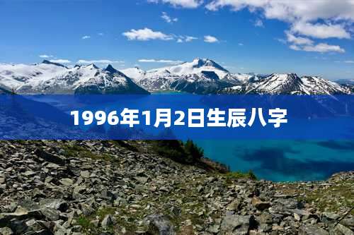 1996年1月2日生辰八字