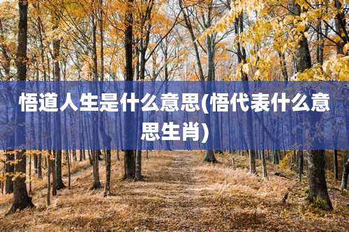 悟道人生是什么意思(悟代表什么意思生肖)