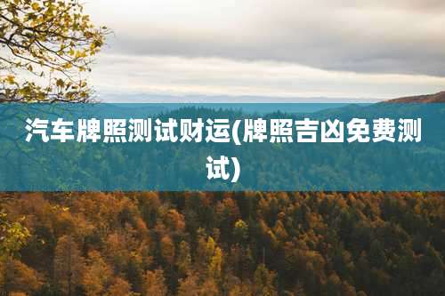 汽车牌照测试财运(牌照吉凶免费测试)