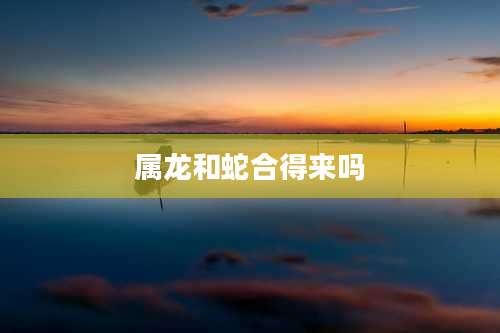 属龙和蛇合得来吗