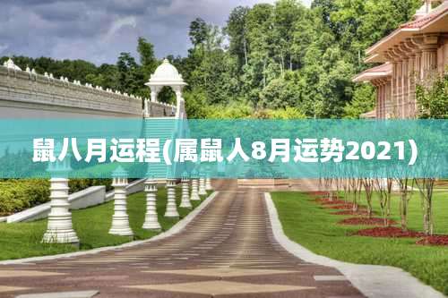 鼠八月运程(属鼠人8月运势2021)