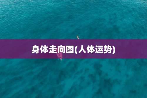 身体走向图(人体运势)