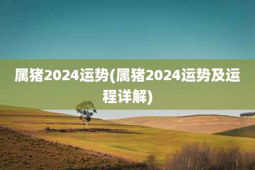 属猪2024运势(属猪2024运势及运程详解)