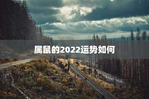 属鼠的2022运势如何