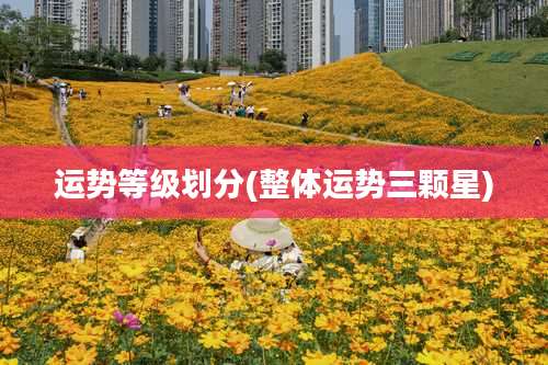 运势等级划分(整体运势三颗星)