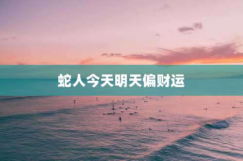 蛇人今天明天偏财运