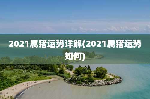 2021属猪运势详解(2021属猪运势如何)