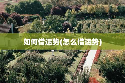 如何借运势(怎么借运势)