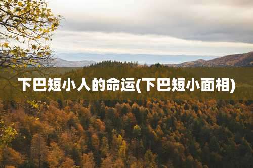 下巴短小人的命运(下巴短小面相)