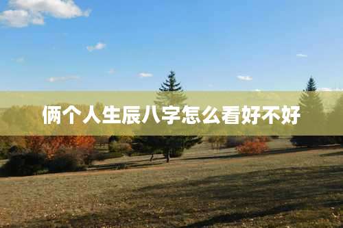 俩个人生辰八字怎么看好不好