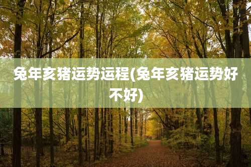 兔年亥猪运势运程(兔年亥猪运势好不好)