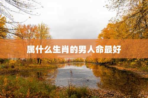 属什么生肖的男人命最好