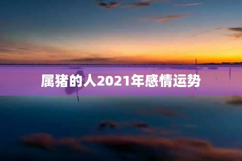 属猪的人2021年感情运势
