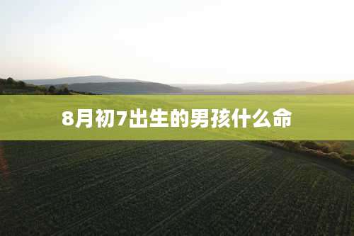 8月初7出生的男孩什么命