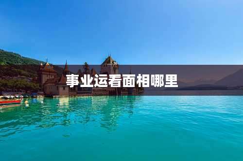 事业运看面相哪里