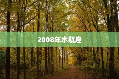 2008年水瓶座