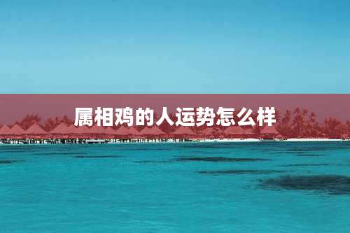 属相鸡的人运势怎么样