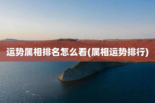 运势属相排名怎么看(属相运势排行)