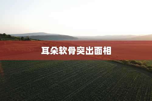 耳朵软骨突出面相