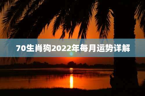 70生肖狗2022年每月运势详解
