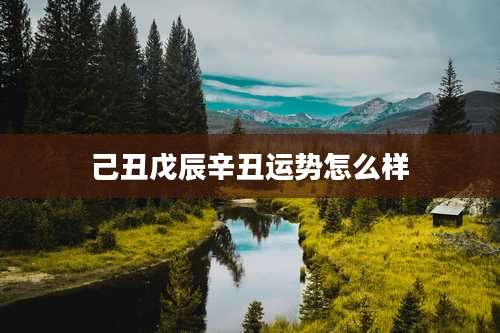 己丑戊辰辛丑运势怎么样