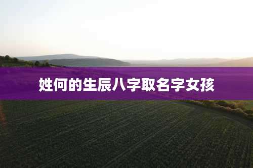 姓何的生辰八字取名字女孩