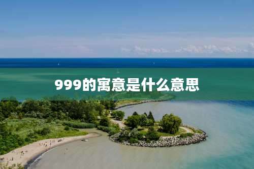 999的寓意是什么意思