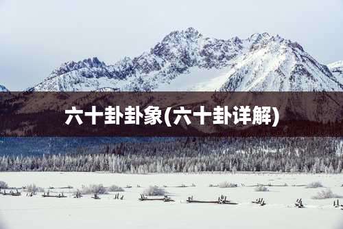 六十卦卦象(六十卦详解)