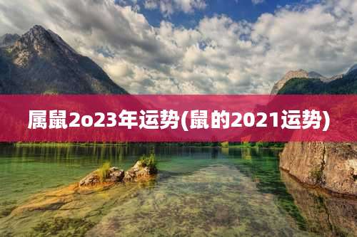 属鼠2o23年运势(鼠的2021运势)