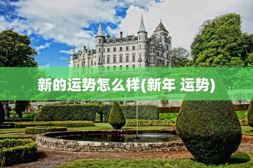 新的运势怎么样(新年 运势)