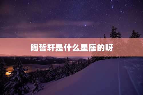 陶哲轩是什么星座的呀