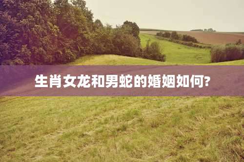 生肖女龙和男蛇的婚姻如何?