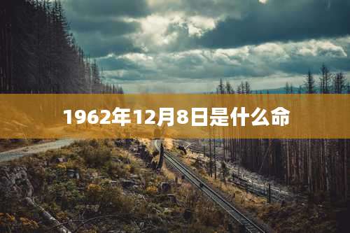 1962年12月8日是什么命